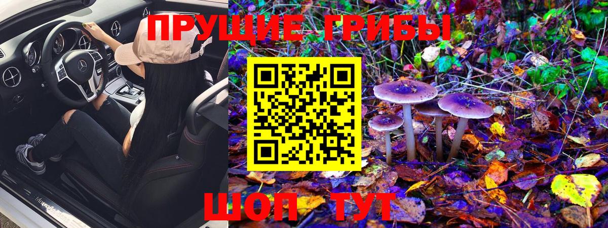Псилоцибиновые грибы Psilocybe  Вход с VPN  Благовещенск 